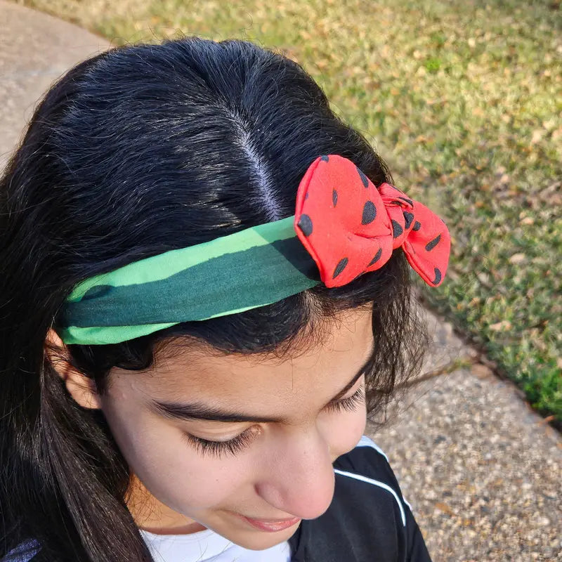 Watermelon Scrunchie or Headband