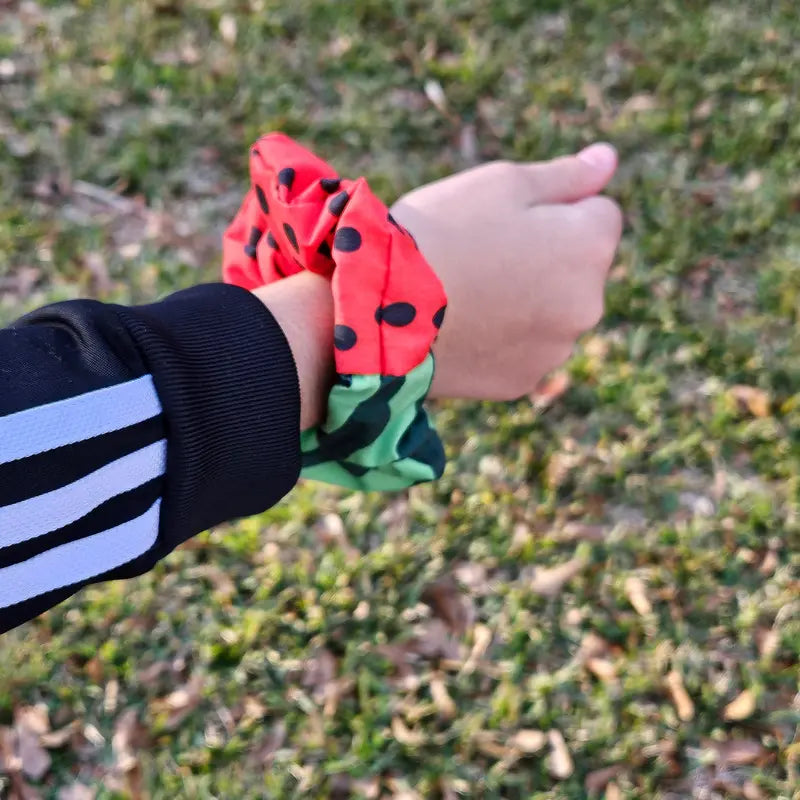 Watermelon Scrunchie or Headband